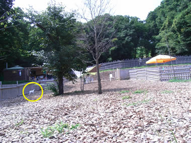 20080821a.jpg