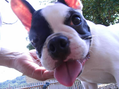 20080821e.jpg