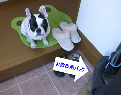 20090112.jpg
