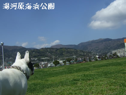 20090324a.jpg