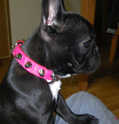 20090426.jpg
