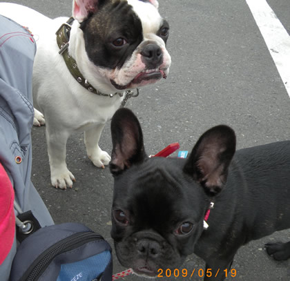 20090519b.jpg