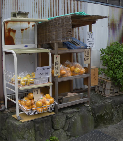 20090519d.jpg