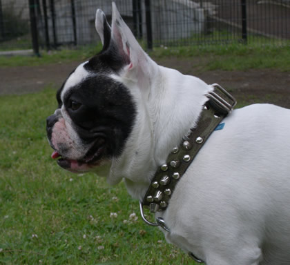 20090519g.jpg