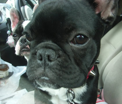 20090519l.jpg