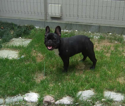 20090807.jpg