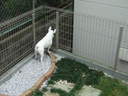 20090807a.jpg