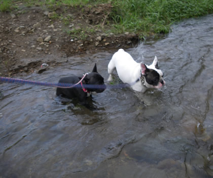 20090811f.jpg