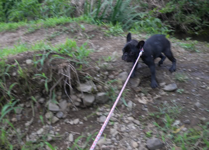 20090811g.jpg