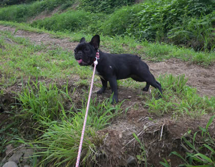 20090811i.jpg