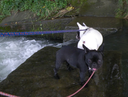 20090811k.jpg