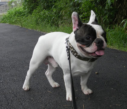 20090812b.jpg