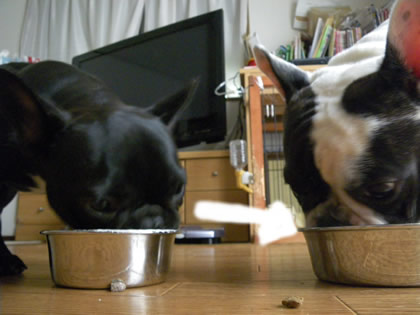 20090812d.jpg