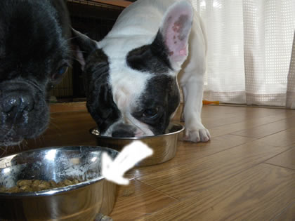 20090812e.jpg