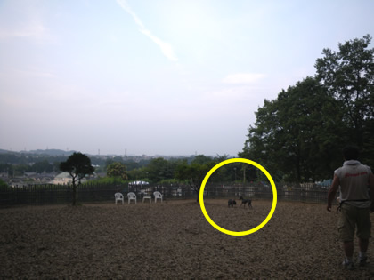 20090819f.jpg