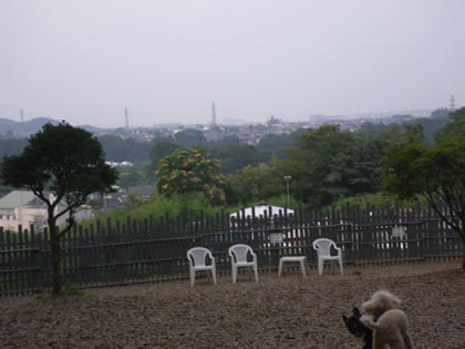 20090819h.jpg