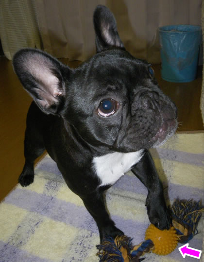 20090904.jpg
