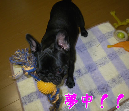 20090904b.jpg