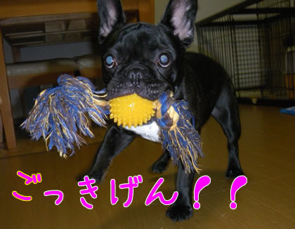 20090904d.jpg