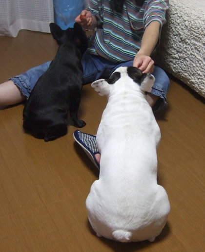 20090905.jpg