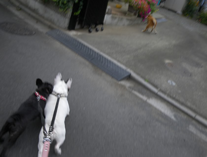 20090908a.jpg