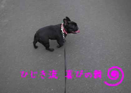 20090908d.jpg