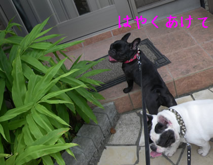 20090908f.jpg
