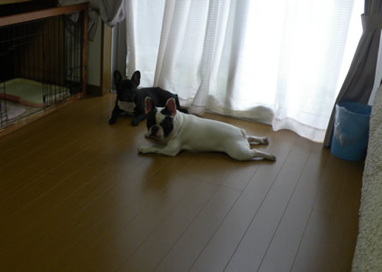 20090908g.jpg