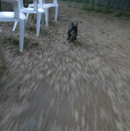 20090908p.jpg