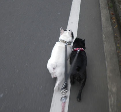 20090909m.jpg