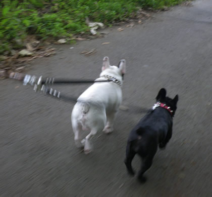 20090909n.jpg