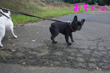 20090909o.jpg