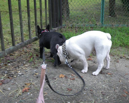 20090909s.jpg