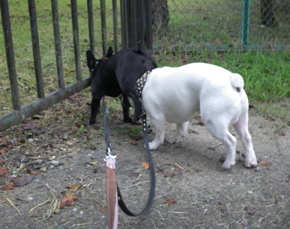 20090909t.jpg