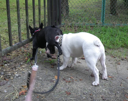 20090909u.jpg