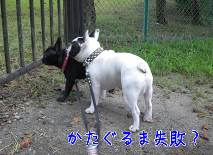 20090909v.jpg