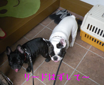 20090909y.jpg