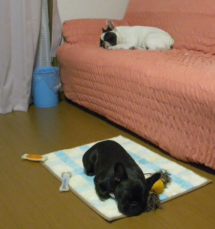 20090916s.jpg