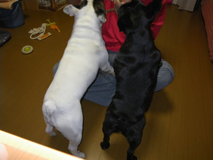 20090919c.jpg