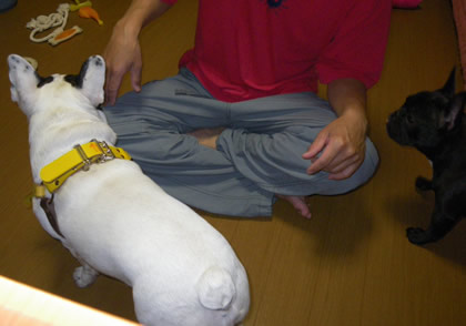 20090919f.jpg
