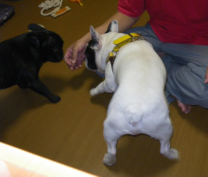 20090919g.jpg