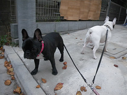 20090923i.jpg