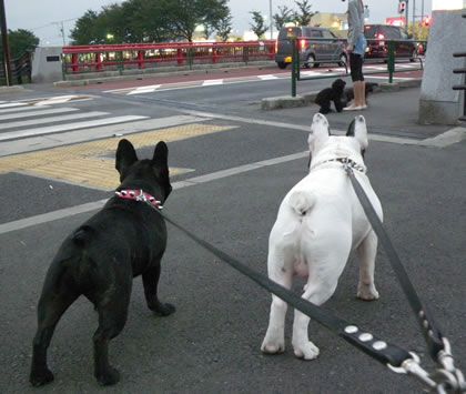 20090923j.jpg