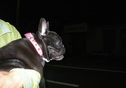 20090923k.jpg