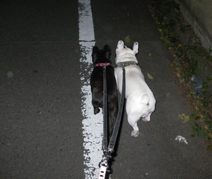 20090923m.jpg
