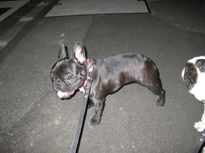 20090923o.jpg
