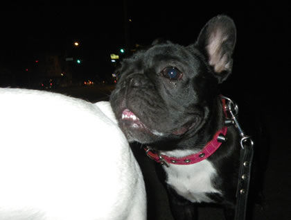 20090923q.jpg