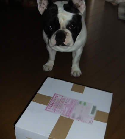 2010083101.jpg