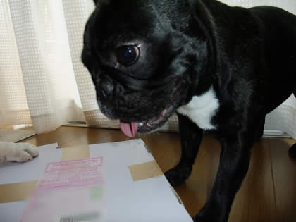 2010083102.jpg