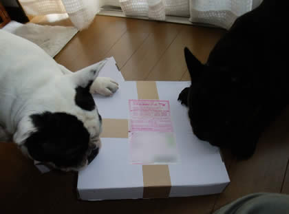 2010083103.jpg